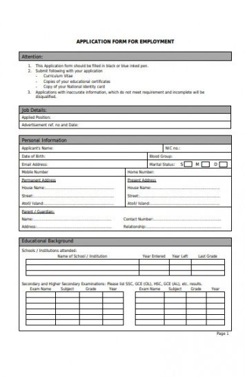 Professional Sample Job Application Form Template  Example