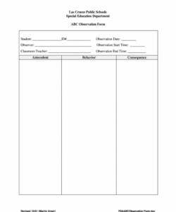 Professional Teaching Observation Form Template Excel