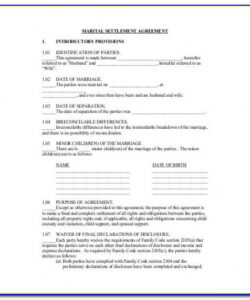 Best Divorce Financial Settlement Agreement Template Word Example