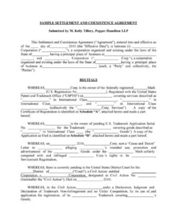 Costum Divorce Financial Settlement Agreement Template Doc Example