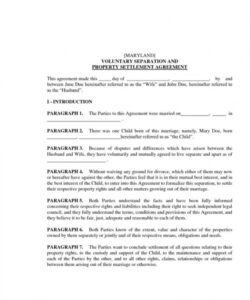 Editable Trial Separation Agreement Template  Sample
