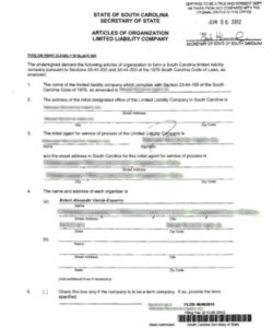 Holding Company Operating Agreement Template Word Example