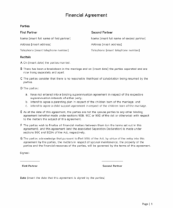 Professional Binding Financial Agreement Template  Sample