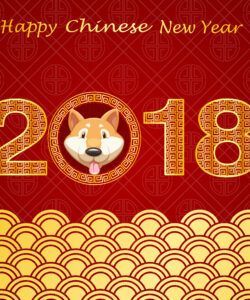 Best Chinese New Year Menu Template Doc Example