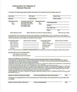 Professional Authorization To Release Medical Records Form Template Pdf