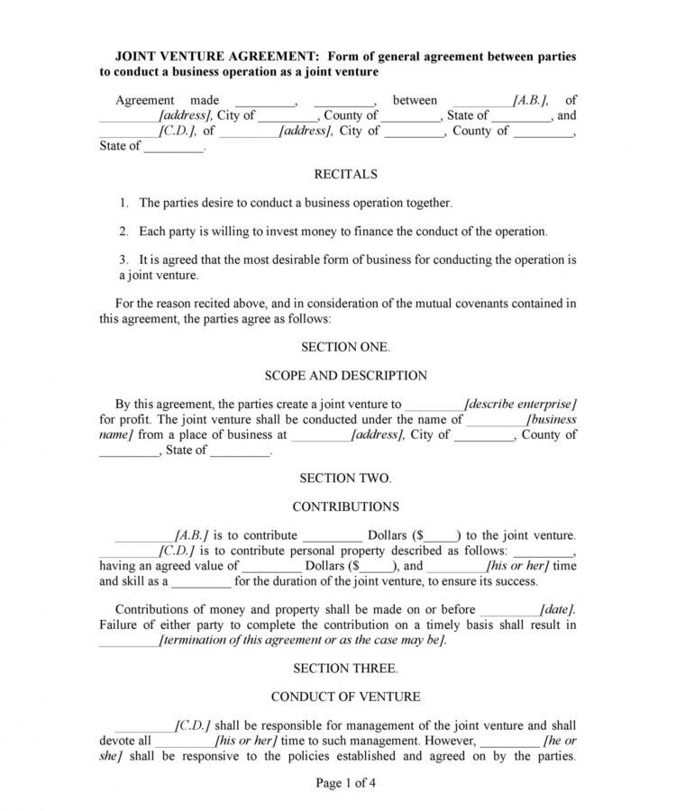 Divorce Financial Agreement Template