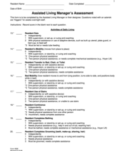 Editable Care Needs Assessment Form Template Word