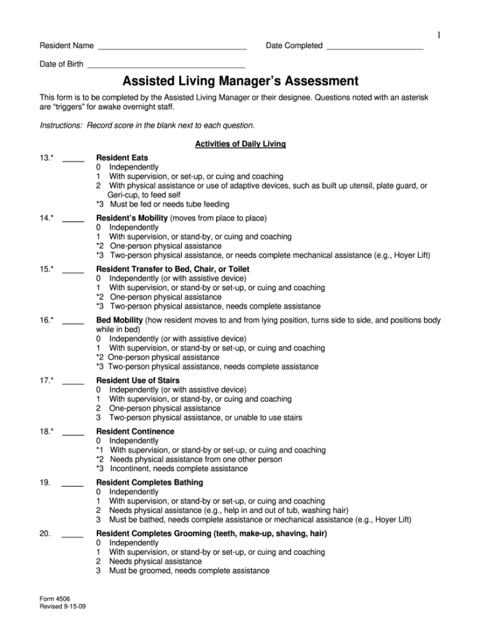 Care Needs Assessment Form Template