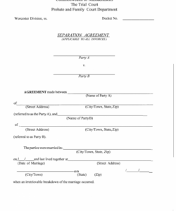 Costum Maryland Separation Agreement Template Excel Sample