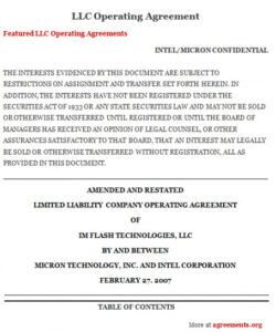 Costum Real Estate Llc Operating Agreement Template Word Sample