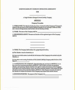 Editable Single Member Llc Operating Agreement Template Excel