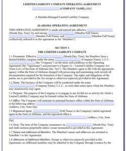 Editable Single Member Llc Operating Agreement Template Excel Sample