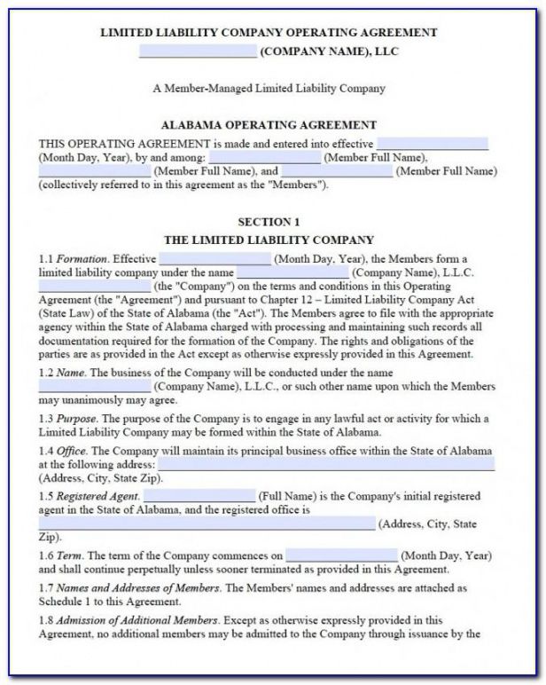 Editable Single Member Llc Operating Agreement Template Excel Sample