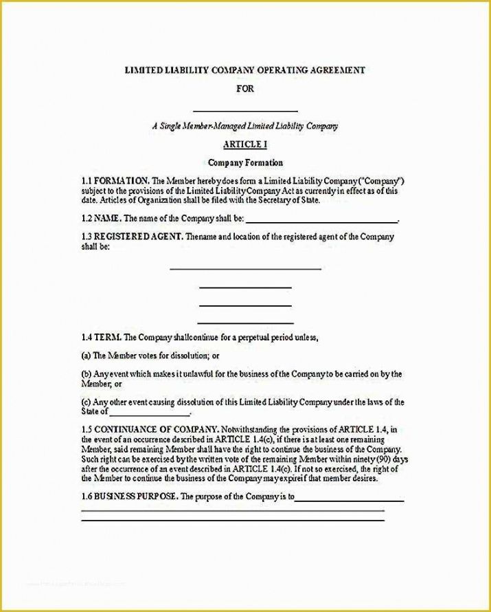 Editable Single Member Llc Operating Agreement Template Excel