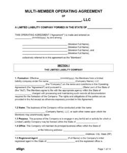 Free Multi Member Llc Operating Agreement Template  Example