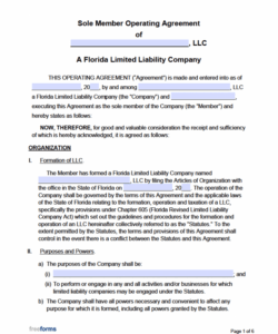 Free Single Member Llc Operating Agreement Template Word Example