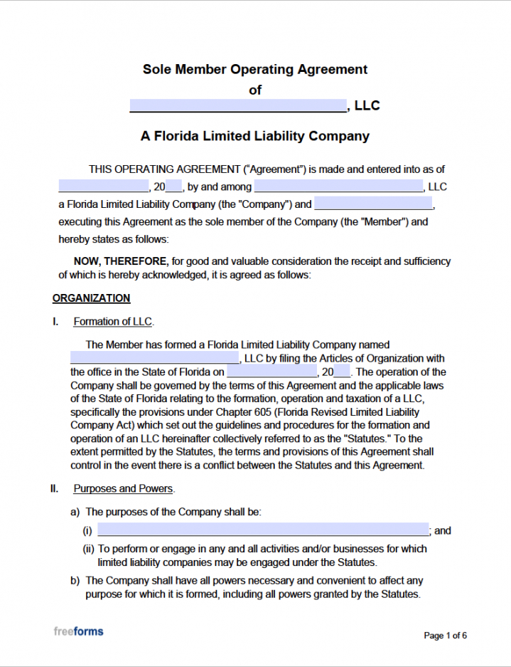 Free Single Member Llc Operating Agreement Template Word Example