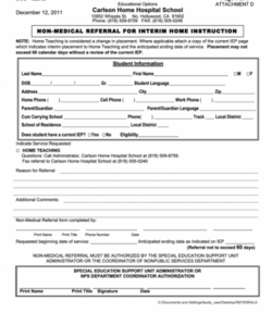 Printable Non Medical Home Care Service Agreement Template Doc