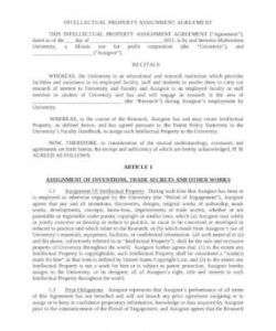 Transfer Of Ip Rights Agreement Template