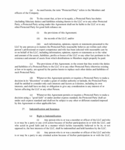 Professional Real Estate Llc Operating Agreement Template Excel