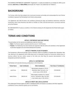 Professional Small Business Partnership Agreement Template Doc