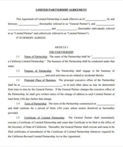 Professional Small Business Partnership Agreement Template Doc