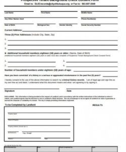 Editable Background Check Consent Form Template Doc Example