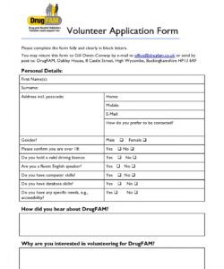 Editable Community Service Volunteer Form Template Excel