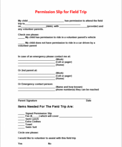 Editable Field Trip Permission Form Template Excel Example