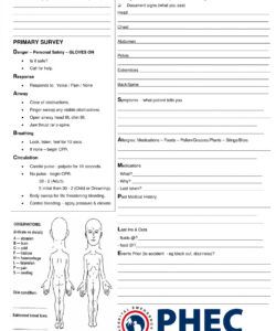 Free Ambulance Patient Report Form Templates Word Example