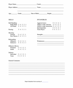Free Baseball Player Evaluation Form Template Doc Example
