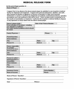 Free Emergency Care And Treatment Form Template Excel Example