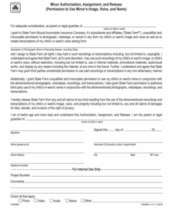 Professional Assignment Of Benefits Form Template Doc
