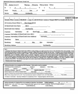 Professional Bank Wire Transfer Form Template Excel Sample