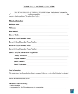 Professional Child Travel Consent Form Template Excel
