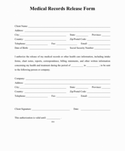 Professional Medical Records Request Form Template Pdf Example