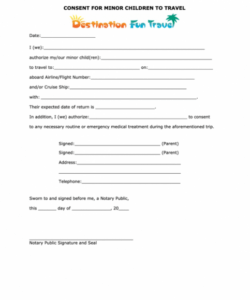 Professional Minor Travel Consent Form Template  Example