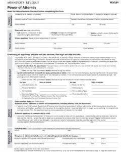 Professional Power Of Attorney Form Template Doc Example