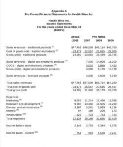 Professional Pro Forma Income Statement Template Excel Example