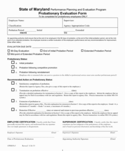 90 Day Probationary Period Form Template Excel