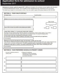 Best Primary School Admission Form Template Excel Sample