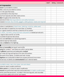 Best Safety Audit Form Template Excel Example