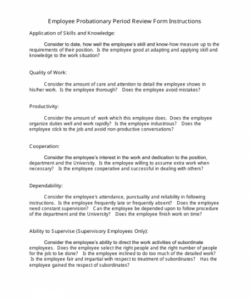 Costum 90 Day Probationary Period Form Template Word Sample