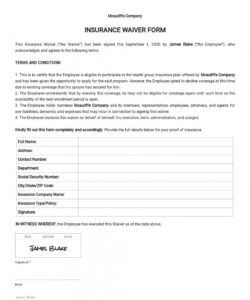 Costum Health Insurance Waiver Form Template  Example