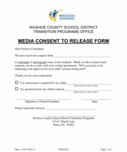 Costum Media Release Consent Form Template Excel Sample