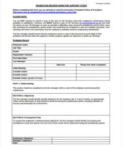 Editable 90 Day Probationary Period Form Template Excel Example