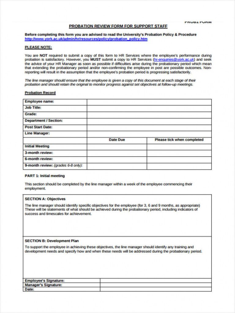 Editable 90 Day Probationary Period Form Template Excel Example ...