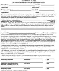 General Medical Consent Form Template Excel Sample