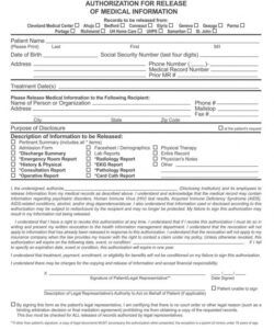 Professional Authorization Release Information Form Template Word Sample