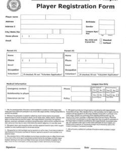 Professional Baseball Camp Registration Form Template  Example